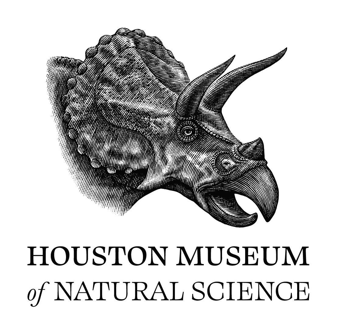 Houston Museum of Natural Science cover photo