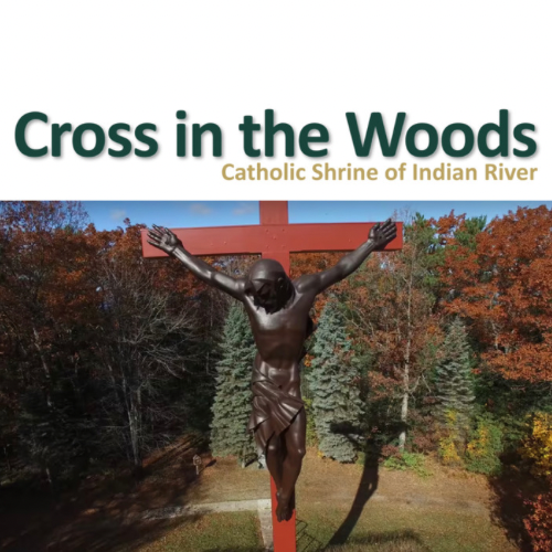 Cross in the Woods Catholic Shrine of Indian River cover photo
